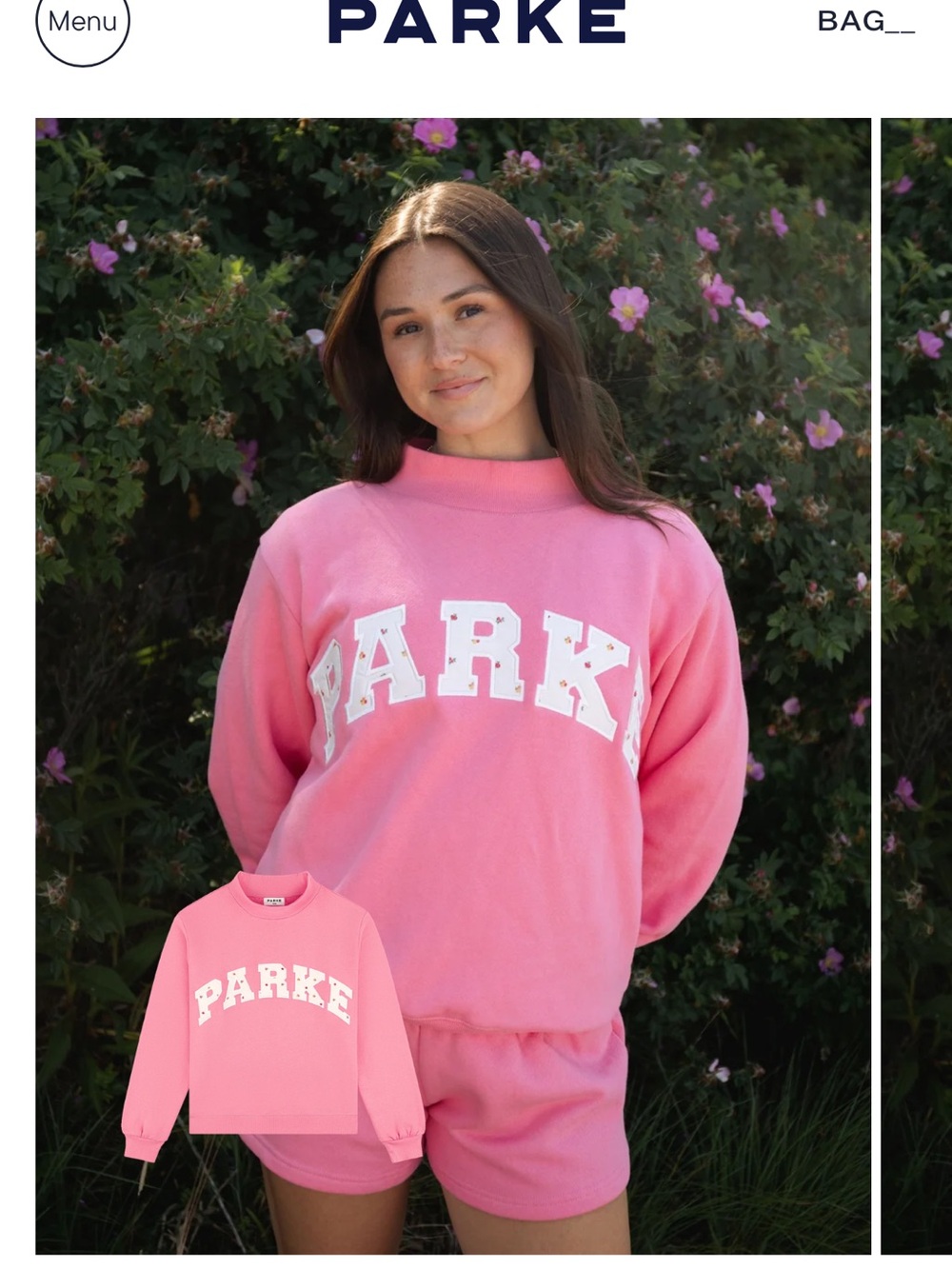 NWT Parke Pink Crewneck Sweatshirt